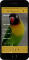 Lovebird Ngetik Pancingan Screenshot 3