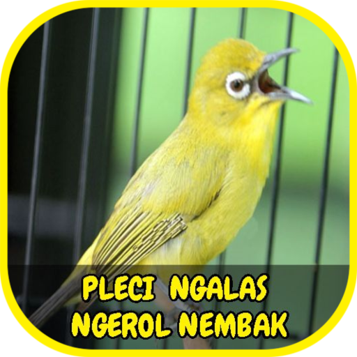 Pleci Ngalas Ngerol Nembak Offline