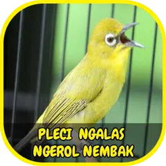 Descargar APK de Pleci Ngalas Ngerol Nembak Offline
