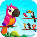 Bird Sort Color: Budgie Puzzle APK