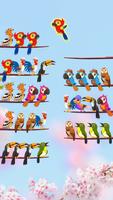Bird Sort Color: Budgie Puzzle پوسٹر