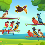 Pirate Bird Color Sort Puzzle Zeichen