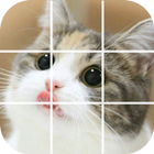 Puzzle Cute Cat icône