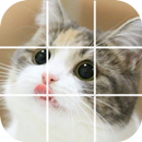 Puzzle Cute Cat - Swap Puzzle APK