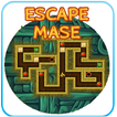 Escape The  Maze
