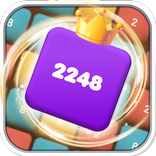 ”Puzzle Fusion 2248 Game