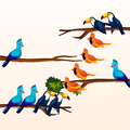 bird sorter