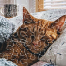 Jigsaw Puzzle Funny and Cutty Cat APK