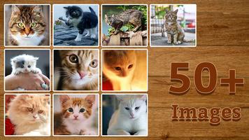 Cat Jigsaw Puzzle تصوير الشاشة 1