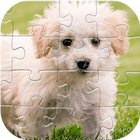 Dog Jigsaw Puzzle أيقونة
