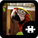 APK Parrot Jigsaw Puzzle