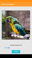 Parrot Jigsaw Puzzle Screenshot 2