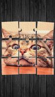 प्यारा बिल्लियों पहेली खेल लिए पोस्टर