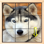 Puzzle Challenge: Brain Teaser