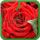 Icona Roses Giochi Di Puzzle