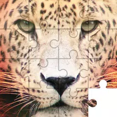 download Puzzle: Animali XAPK