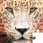 Jigsaw Puzzles: Haiwan ikon
