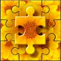 Jigsaw Puzzle Game