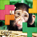 Puzzle Up