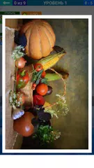 1 картинка и несколько слов アプリダウンロード