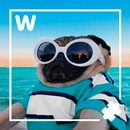 10000 слов APK