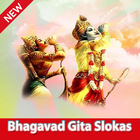Bhagavad Gita Slokas icône