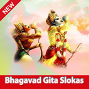 Bhagavad Gita Slokas APK