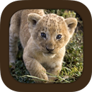 Cris d'animaux APK