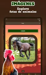 Descargar XAPK de Sonidos de Animales