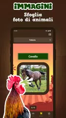 download Versi degli Animali XAPK