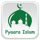 Pyara Islam Islamic Ringtones-icoon