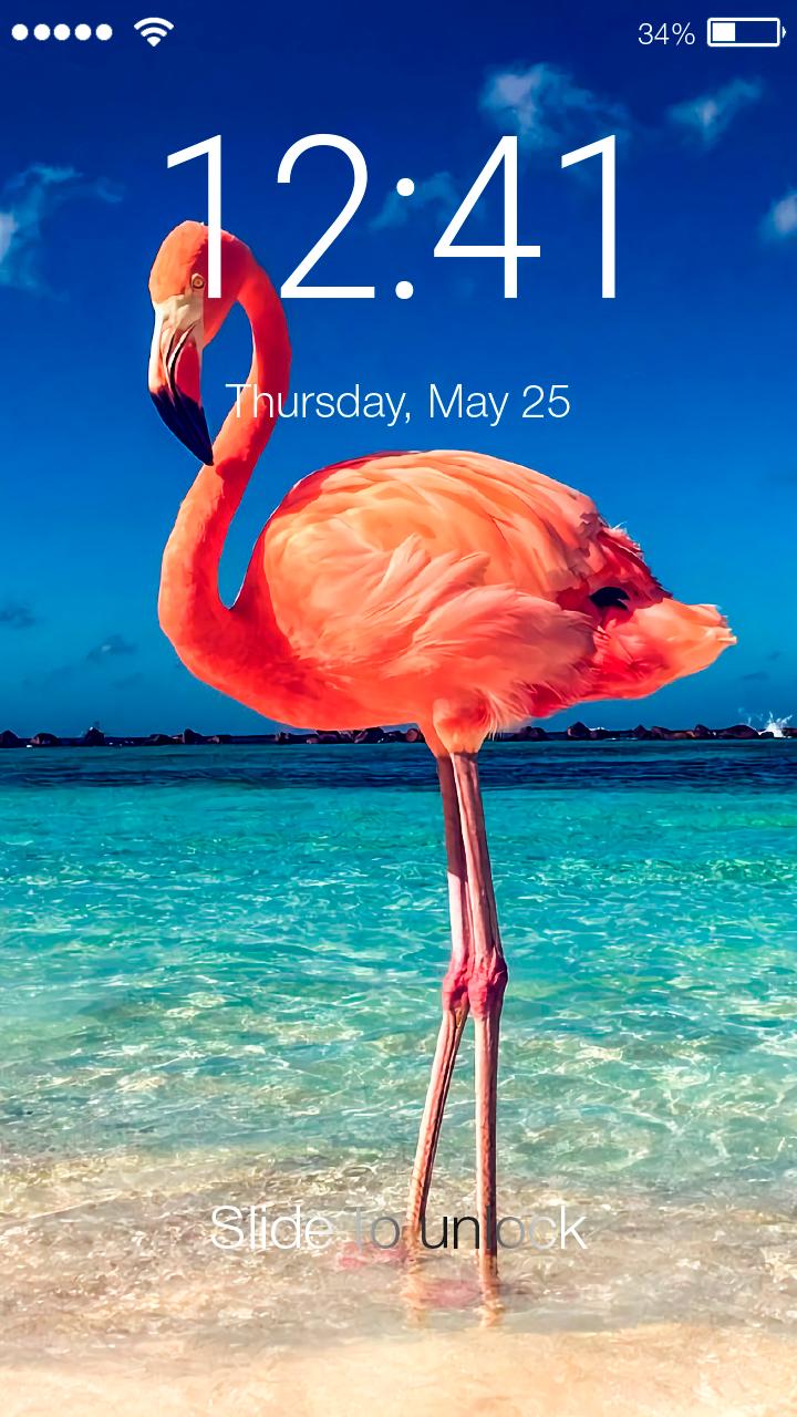 Aesthetic Flamingo Youtube Wallpaper