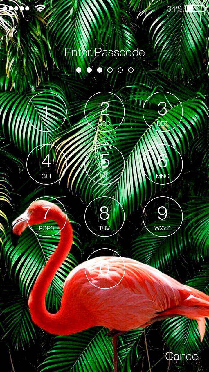Flamingo Pink Tropic Wallpaper Hd Screen Lock For Android Apk