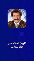 Biography of Javad gönderen