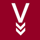 vidland - download any video icon
