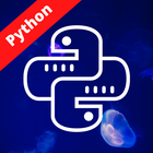 Python Quiz: Learn Programming icon