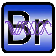 Biorhythms Calculator Lite XAPK 下載