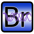 Personal Biorhythms Calculator icon