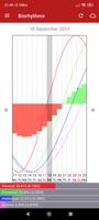 Personal Biorhythms Calculator ポスター