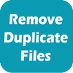 Duplicate File Remover