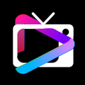 DIGITAL TV