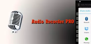 Audio Recorder Pro