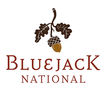 The Bluejack National