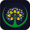 Pacha App
