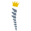 Icona Kingdom Chiropractic