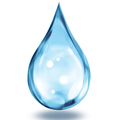 Paani Online