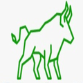 BigBull - Market News App