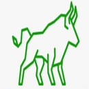 APK BigBull - Market News App