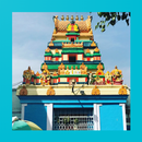 Mana Rangareddy-APK