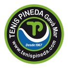 Tenis Pineda icono